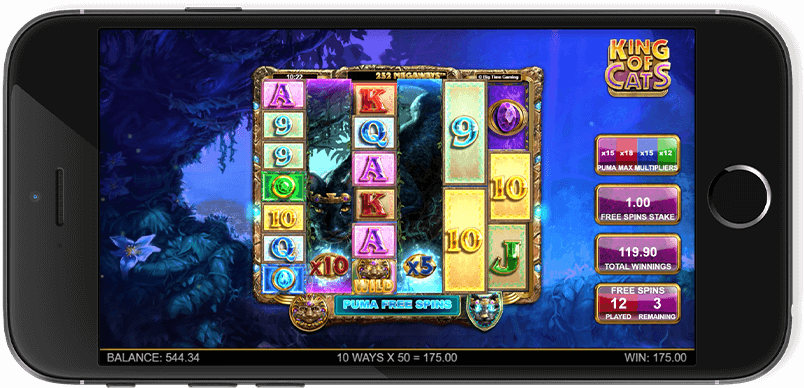 King of Cats Screenshot