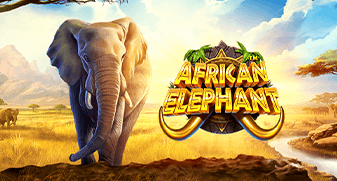 African Elephant Screenshot