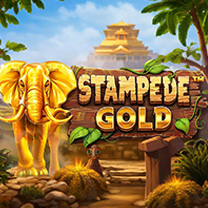 BetSoft Stampede Gold Game at POKIEMACHINESN