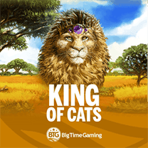 King of Cats