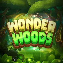 Wonder Woods