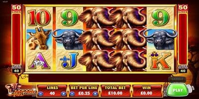 Safari Rampage Screenshot